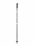 Canadian Arctic - Black SKI poles
